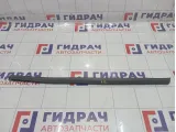 Уплотнитель стекла передний правый Hyundai Equus (VI) 822413N000