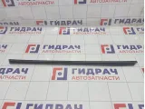 Уплотнитель стекла передний правый Hyundai Equus (VI) 822413N000