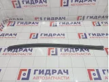 Уплотнитель стекла задний левый Hyundai Equus (VI) 832313N000