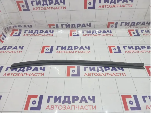 Уплотнитель стекла задний левый Hyundai Equus (VI) 832313N000