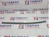 Уплотнитель стекла задний левый Hyundai Equus (VI) 832313N000