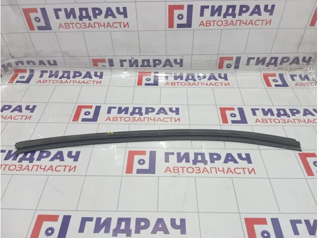 Уплотнитель стекла задний правый Hyundai Equus (VI) 832413N000