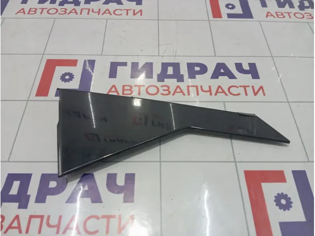 Накладка двери задней правой Hyundai Equus (VI) 832803N000W7V