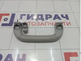 Ручка потолочная задняя левая Hyundai Equus (VI) 853403N110TX