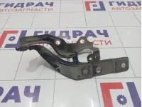 Петля капота левая Hyundai Equus (VI) 791103N001