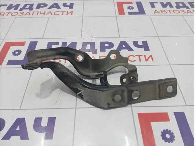 Петля капота левая Hyundai Equus (VI) 791103N001