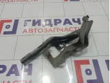Петля капота левая Hyundai Equus (VI) 791103N001