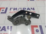 Петля капота левая Hyundai Equus (VI) 791103N001