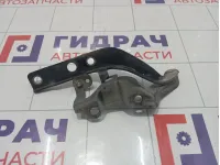Петля капота правая Hyundai Equus (VI) 791203N001