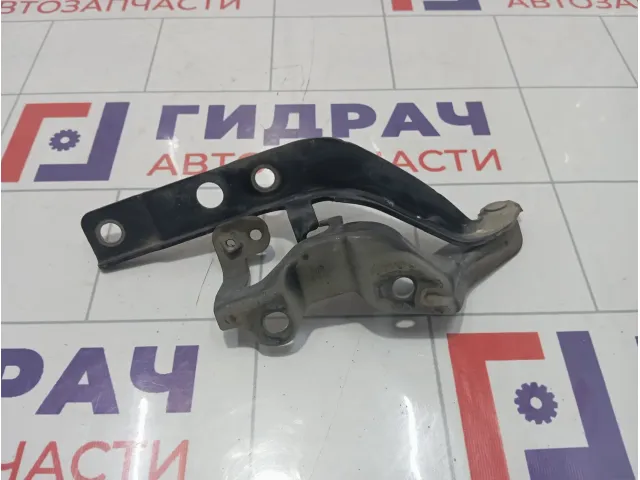 Петля капота правая Hyundai Equus (VI) 791203N001