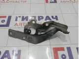 Петля капота правая Hyundai Equus (VI) 791203N001