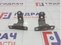 Петли двери передней левой Hyundai Equus (VI) 793103N000