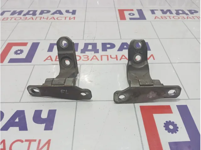 Петли двери передней левой Hyundai Equus (VI) 793103N000