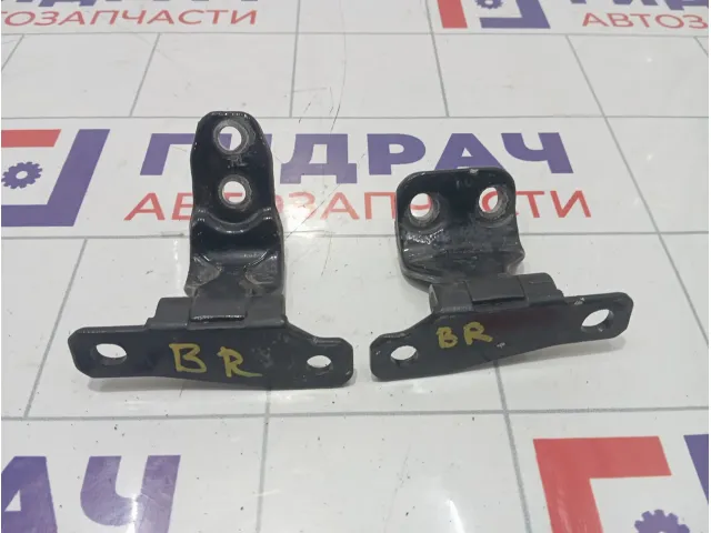 Петли двери задней правой Hyundai Equus (VI) 794203N000