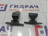 Петли двери задней правой Hyundai Equus (VI) 794203N000