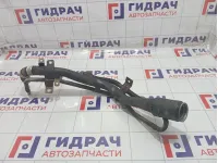 Горловина топливного бака Hyundai Equus (VI) 310303N300