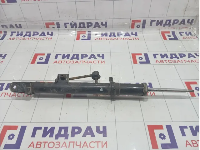 Амортизатор передний левый Hyundai Equus (VI) 546113N800
