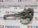 Кулак поворотный передний правый Hyundai Equus (VI) 517113M000