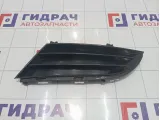 Решетка в бампер левая Hyundai Equus (VI) 865613N000