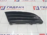 Решетка в бампер правая Hyundai Equus (VI) 865623N000