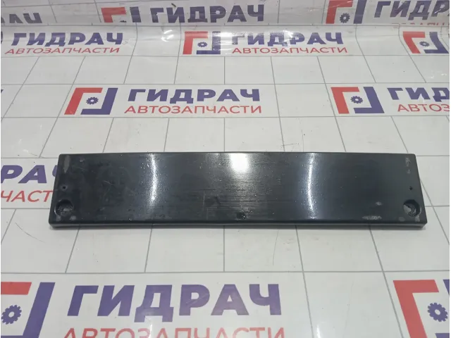 Накладка бампера под номер переднего Hyundai Equus (VI) 865193N000