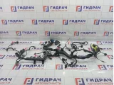 Проводка моторная Hyundai Equus (VI) 914113M020