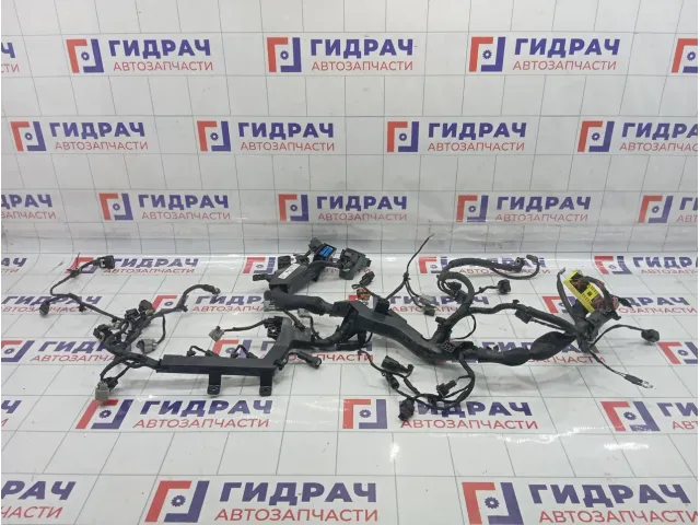 Проводка моторная Hyundai Equus (VI) 914113M020