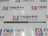 Амортизатор капота Hyundai Equus (VI) 811613N001