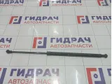 Амортизатор капота Hyundai Equus (VI) 811613N001