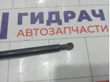 Амортизатор капота Hyundai Equus (VI) 811613N001