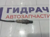 Датчик кислородный/Lambdasonde Hyundai Equus (VI) 392103C510