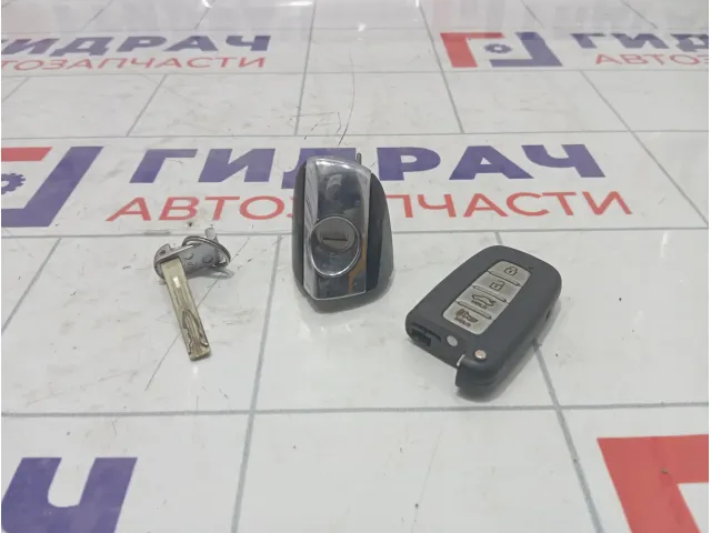 Ключ зажигания Hyundai Equus (VI) 954403N160