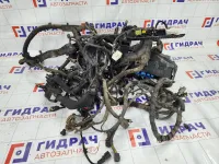 Проводка моторная Hyundai Genesis