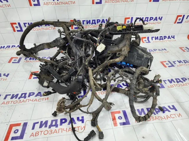 Проводка моторная Hyundai Genesis