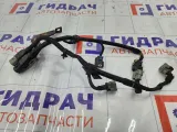 Проводка катушек зажигания Hyundai Genesis 396103C550