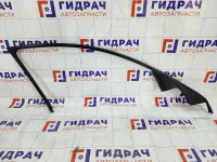 Накладка двери передней левой Hyundai Genesis 829103M020