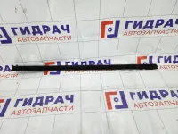 Уплотнитель стекла переднего левого Hyundai Genesis 823313M000