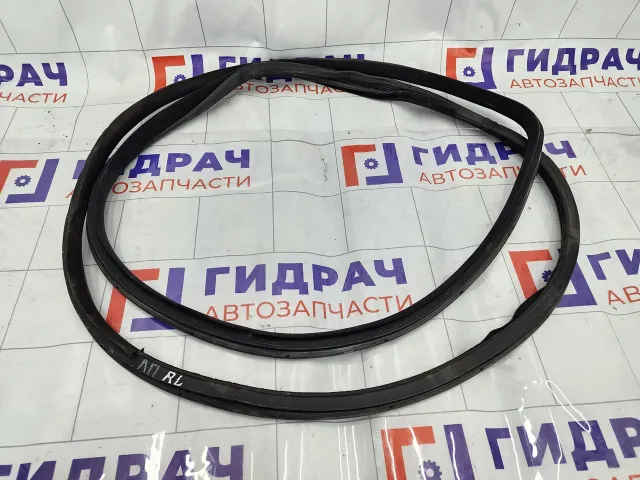 Уплотнитель двери передний левый Hyundai Genesis 821103M000BR