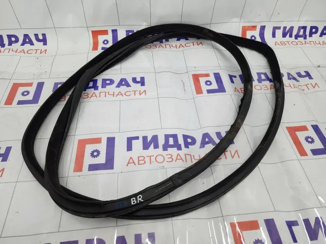 Уплотнитель двери задний правый Hyundai Genesis 831203M000BR
