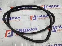 Уплотнитель двери задний левый Hyundai Genesis 831103M000BR