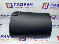 Бардачок Hyundai Genesis 845103M000BR