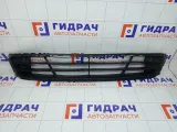 Решетка в бампер Hyundai Genesis 865613M000