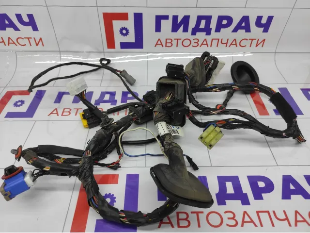 Проводка двери передней левой Hyundai Genesis 916003M030