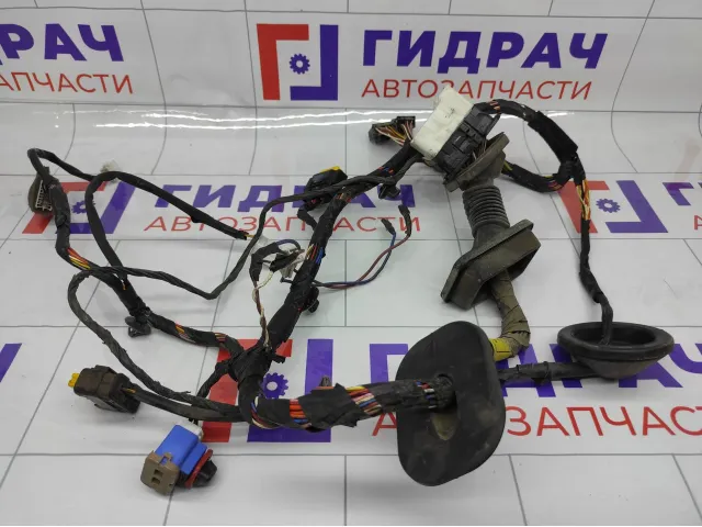 Проводка двери передней правой Hyundai Genesis 916103M030
