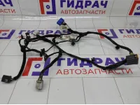 Проводка двери задней левой Hyundai Genesis 916703M050