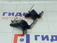 Петли двери задней правой Hyundai Genesis