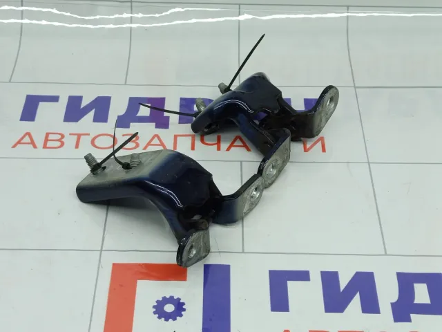 Петли двери задней правой Hyundai Genesis