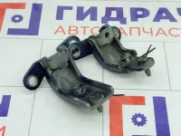 Петли двери передней правой Hyundai Genesis