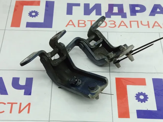 Петли двери передней левой Hyundai Genesis