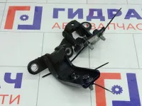 Петли двери задней левой Hyundai Genesis